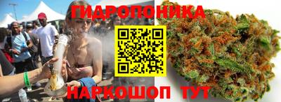 каннабис Кингисепп