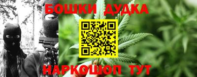 прущие грибы Комсомольск-на-Амуре