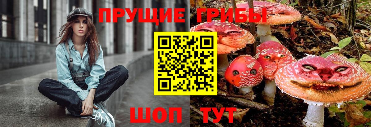 Галлюциногенные грибы мухоморы  Галлюциногенные грибы MAGIC MUSHROOMS  Кстово  Вход с VPN 