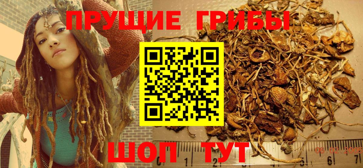 Галлюциногенные грибы мицелий Кстово