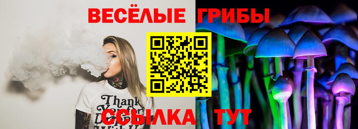 ГАШ Кстово